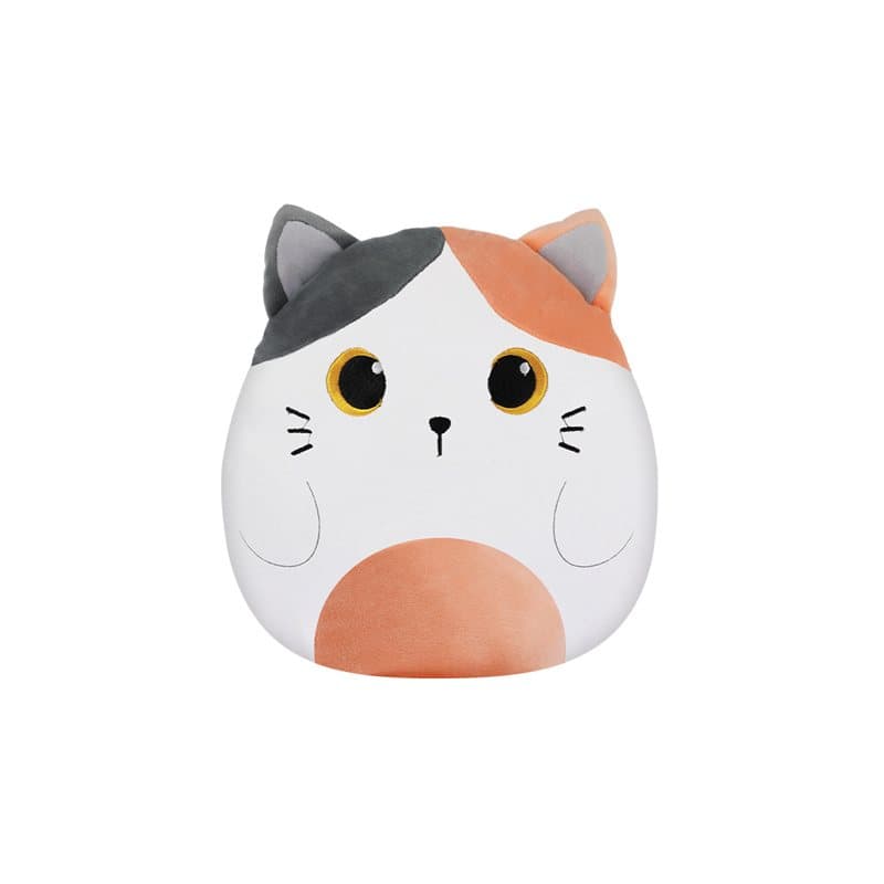 Vertical Pillow ORANGE CAT