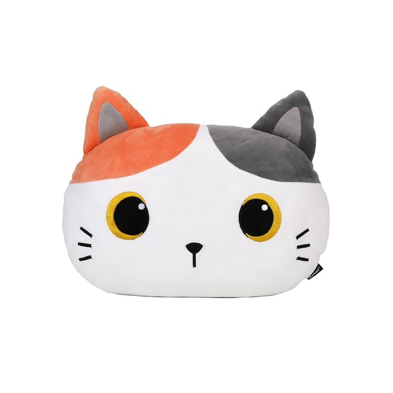 Flat Pillow ORANGE CAT