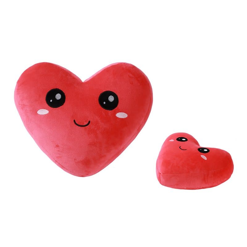 Pillow FOLLOW YOUR HEART